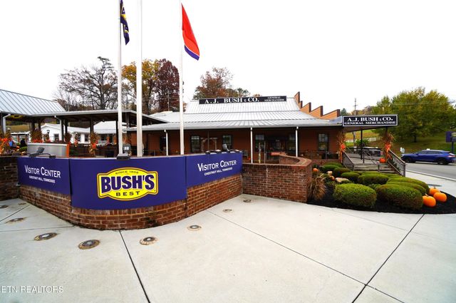 3860 Collier Loop, Dandridge, TN 37725