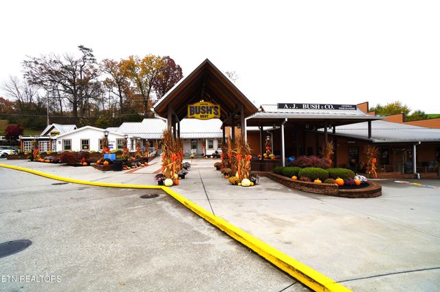 3860 Collier Loop, Dandridge, TN 37725