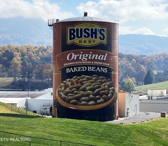 3860 Collier Loop, Dandridge, TN 37725