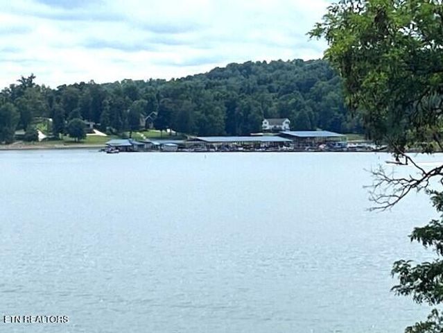 3860 Collier Loop, Dandridge, TN 37725