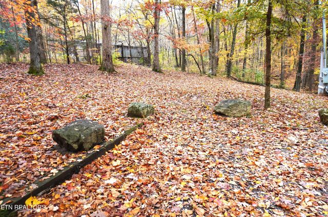 3860 Collier Loop, Dandridge, TN 37725