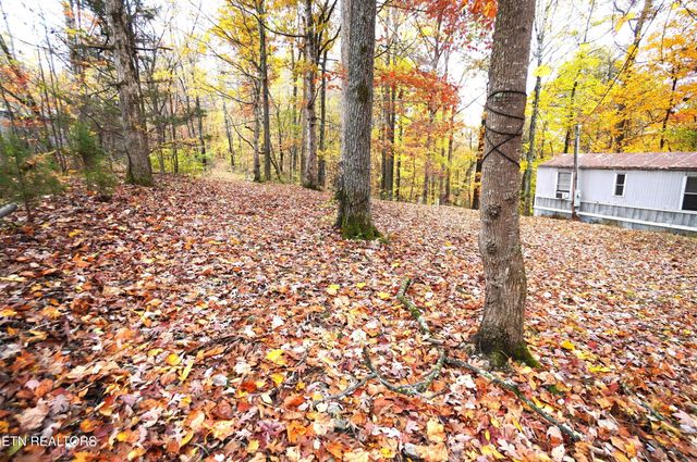 3860 Collier Loop, Dandridge, TN 37725