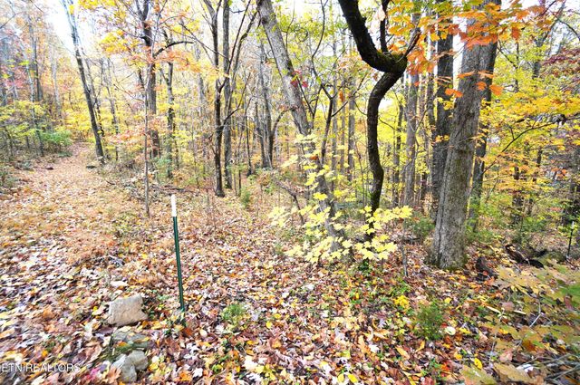 3860 Collier Loop, Dandridge, TN 37725