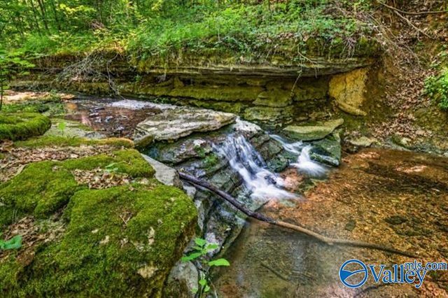 37 Old McLemore Road, Taft, TN 38488