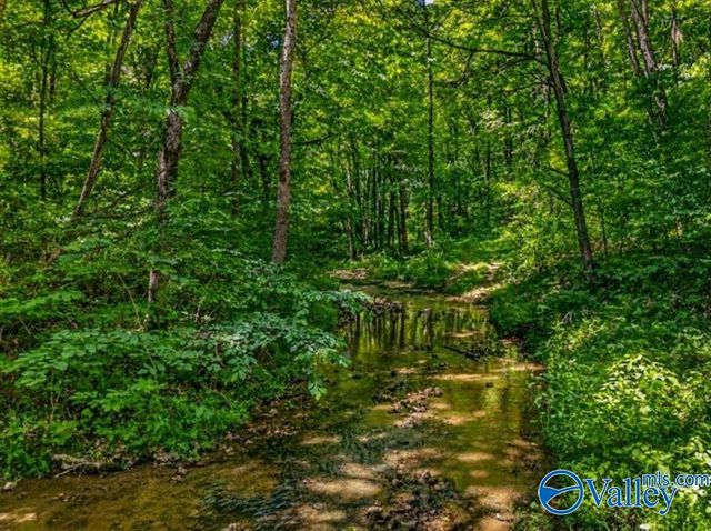 37 Old McLemore Road, Taft, TN 38488