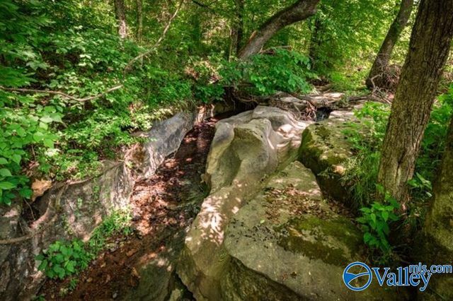37 Old McLemore Road, Taft, TN 38488