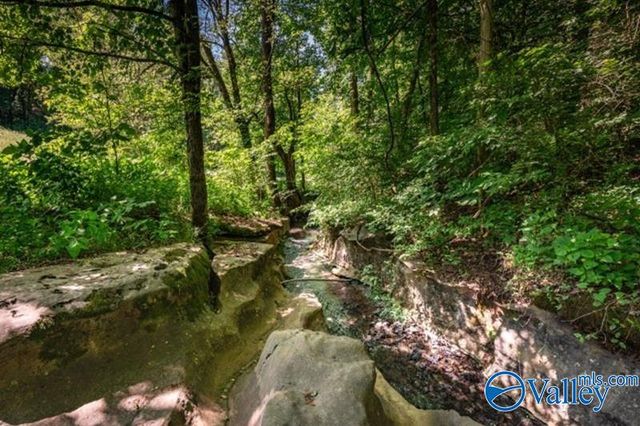 37 Old McLemore Road, Taft, TN 38488