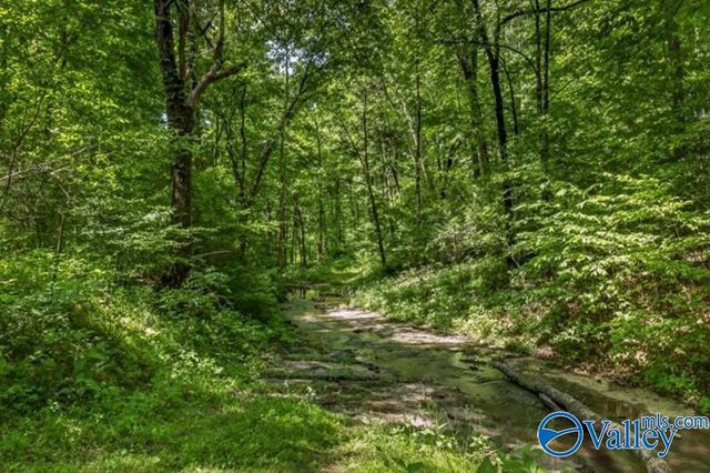 37 Old McLemore Road, Taft, TN 38488