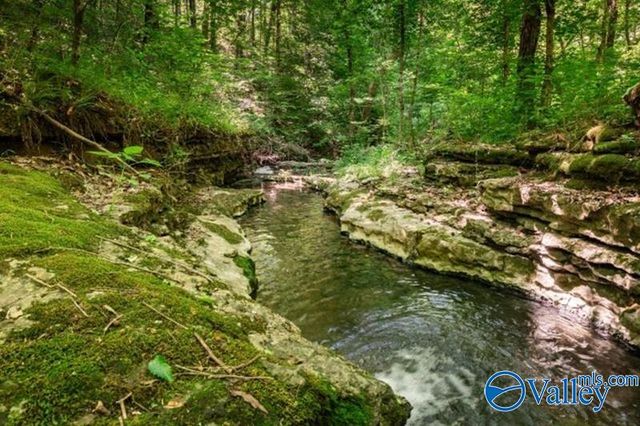 37 Old McLemore Road, Taft, TN 38488