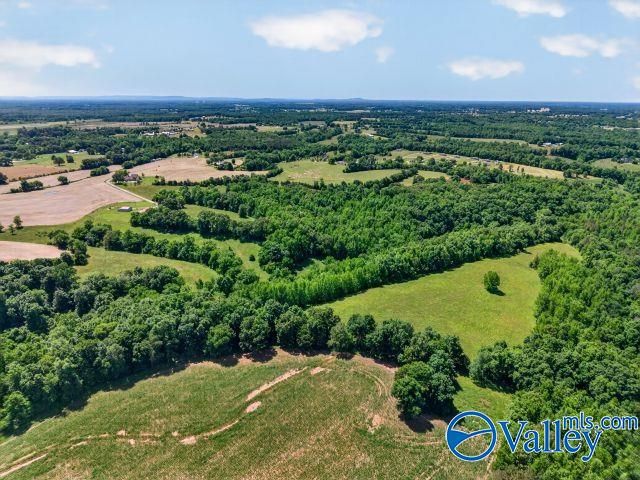 37 Old McLemore Road, Taft, TN 38488