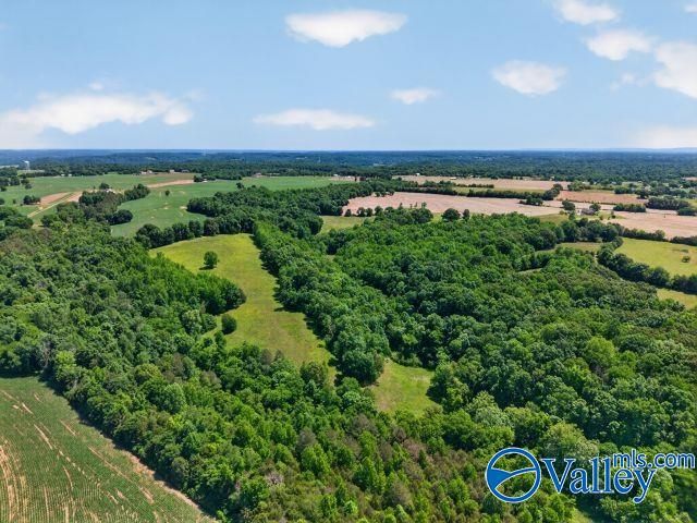 37 Old McLemore Road, Taft, TN 38488