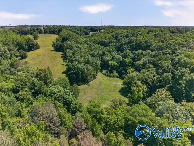 37 Old McLemore Road, Taft, TN 38488