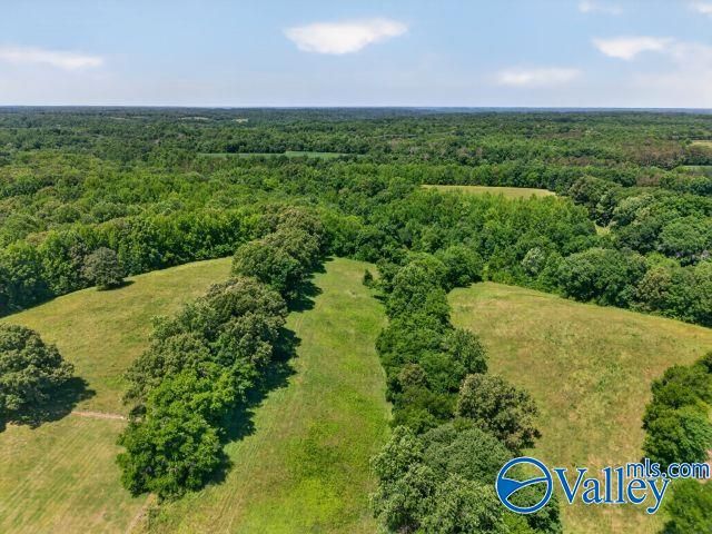 37 Old McLemore Road, Taft, TN 38488