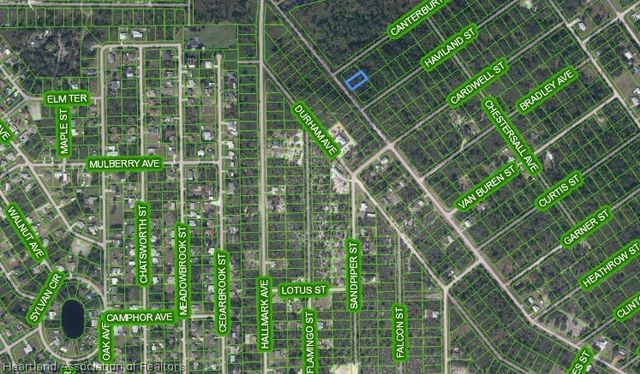 455 Nichele Boulevard, Lake Placid, FL 33852