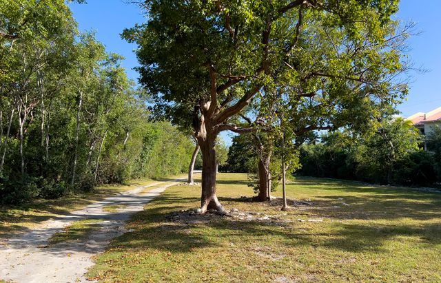 75730 Overseas Highway, Lower Matecumbe, FL 33036