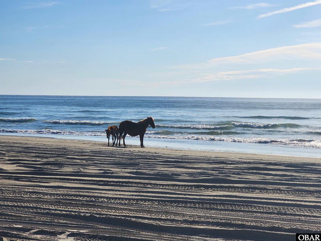 Image 49 of property listing at 2146 Sandfiddler Road Lot 115, Corolla, NC 27927