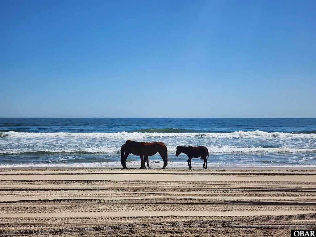 Image 50 of property listing at 2146 Sandfiddler Road Lot 115, Corolla, NC 27927