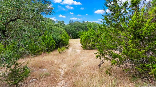 32311 Koch Dr., Bulverde, TX 78163