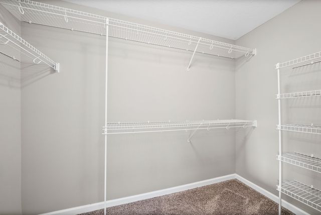 585 Cameo Ct, Clarksville, TN 37042