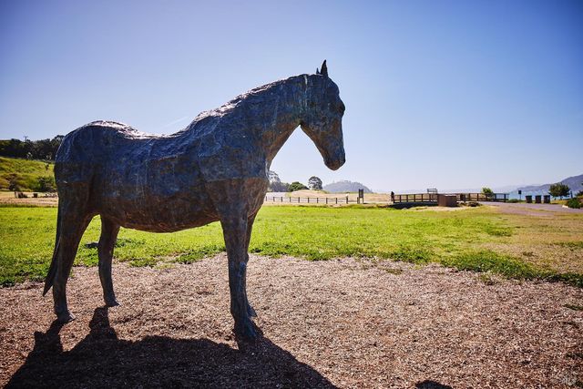 125 Belvedere Ave, Belvedere, CA 94920