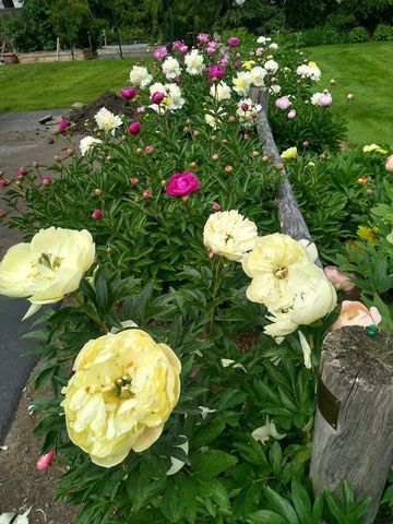 108 Glen Avenue, Newton, MA 02459