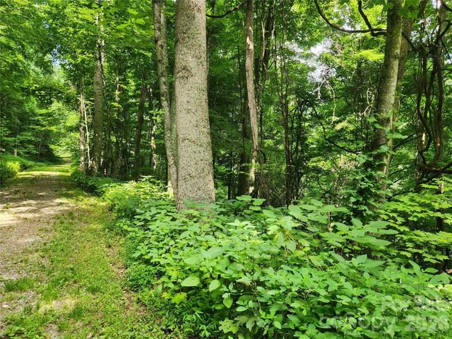 0000 Jacks Knob Road, Weaverville, NC 28787