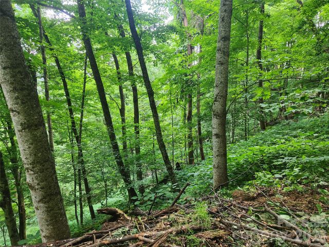 0000 Jacks Knob Road, Weaverville, NC 28787