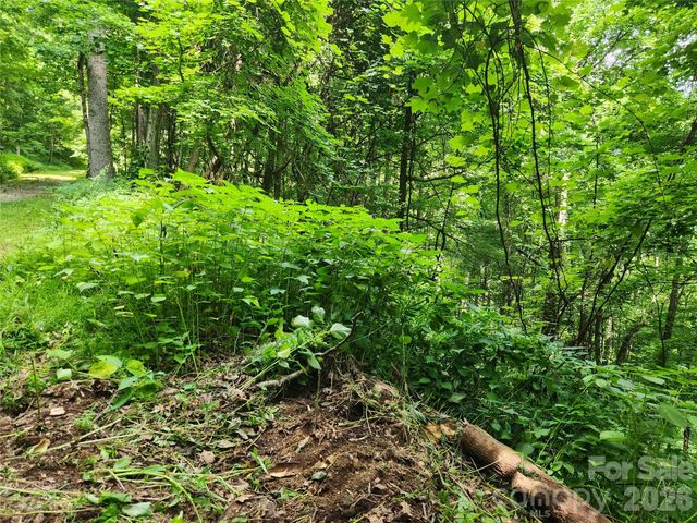 0000 Jacks Knob Road, Weaverville, NC 28787