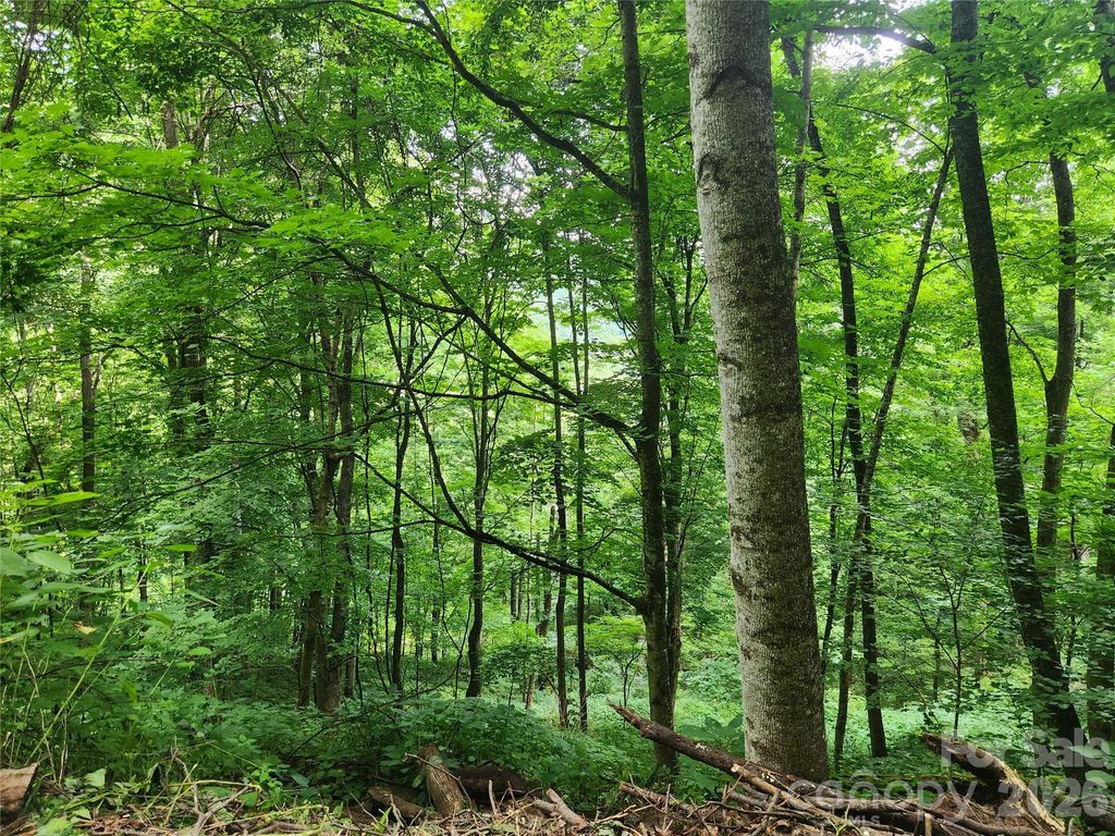 0000 Jacks Knob Road, Weaverville, NC 28787