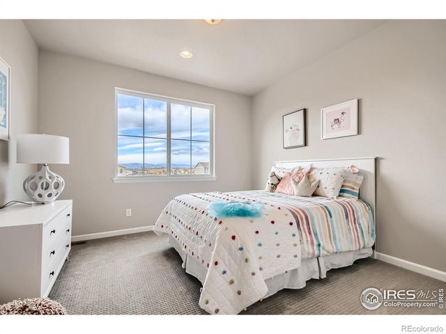 617 Noola Street, Windsor, CO 80550