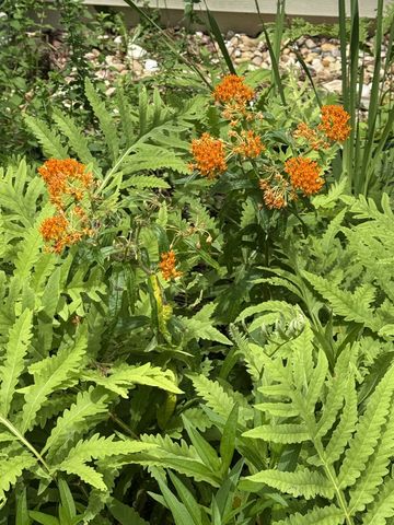 17404 Sr 56, Beersheba Springs, TN 37305