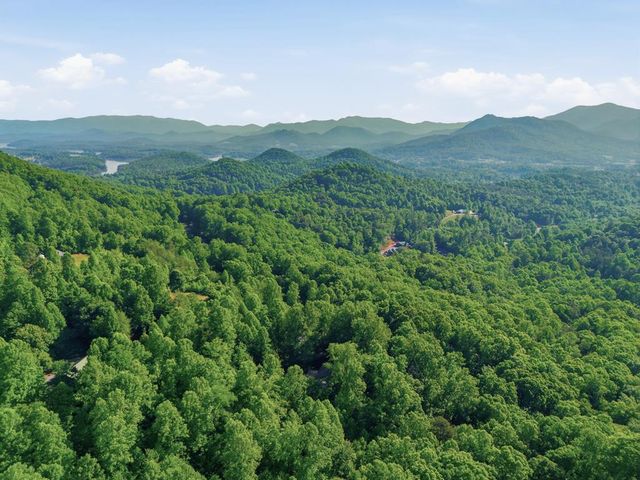 1677 Long Ridge Road, Hiawassee, GA 30546