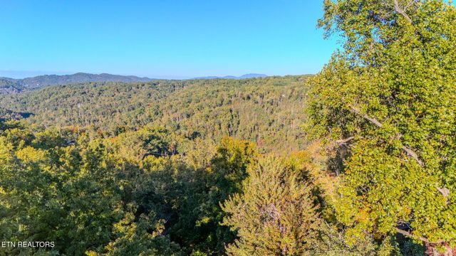 119 Chestnut Lane, Gatlinburg, TN 37738