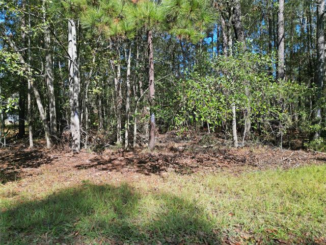 19265 Sims Road, Cleveland, TX 77328