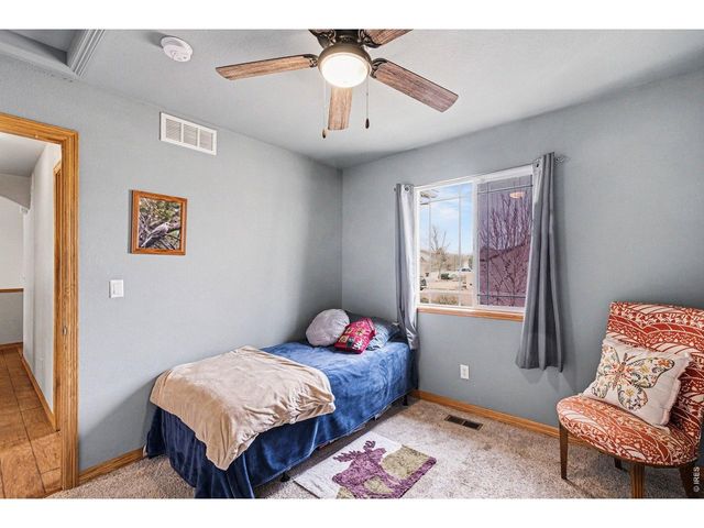 8781 Flaming Arrow Ave, Wellington, CO 80549