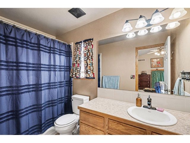 8781 Flaming Arrow Ave, Wellington, CO 80549