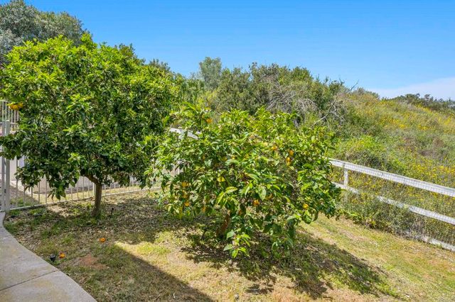 970 DOVE RUN RD, Encinitas, CA 92024