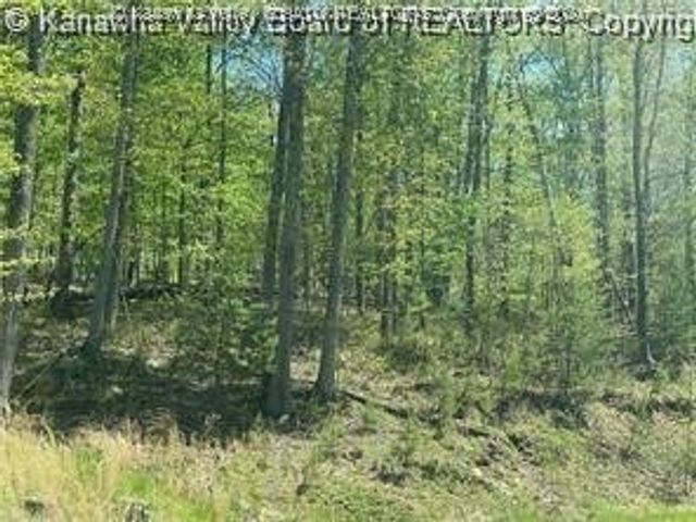 14 Stoney Creek Drive, Ripley, WV 25271