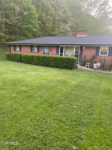 435 Horton Highway, Fall Branch, TN 37656