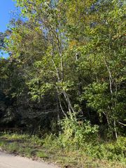 Lot 37 Forrest Hills Dr., Hattiesburg, MS 39402