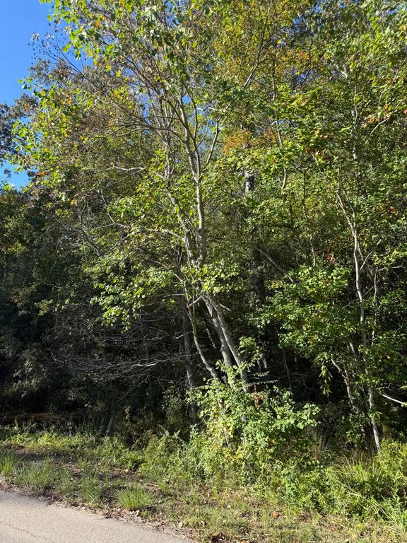 Lot 37 Forrest Hills Dr., Hattiesburg, MS 39402