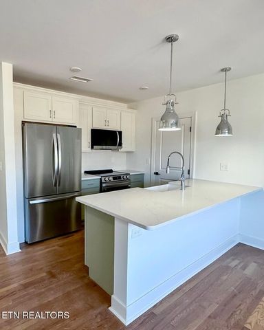 2724 E Magnolia Ave Apt 404, Knoxville, TN 37914