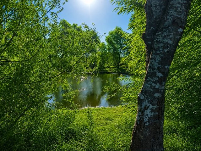 19 County Road 2200, Pecan Gap, TX 75469