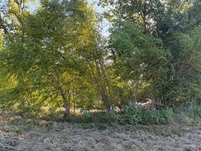 19 County Road 2200, Pecan Gap, TX 75469