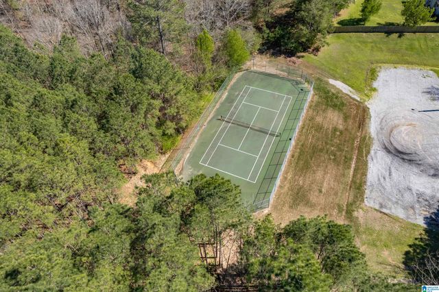 712 OLD CAHABA DRIVE, Helena, AL 35080