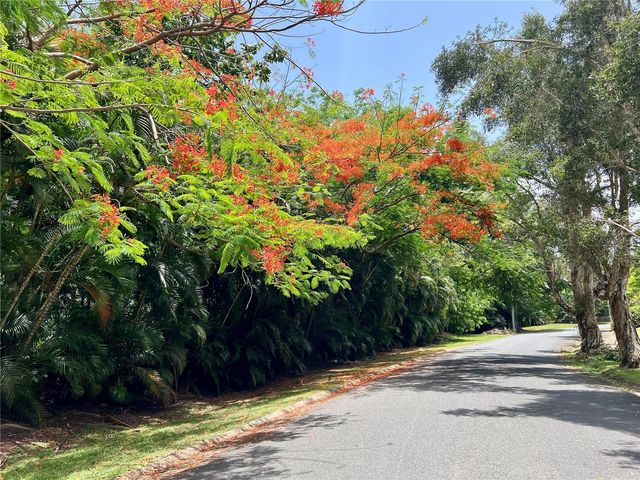 3 PLAZA, Gurabo, PR 00778