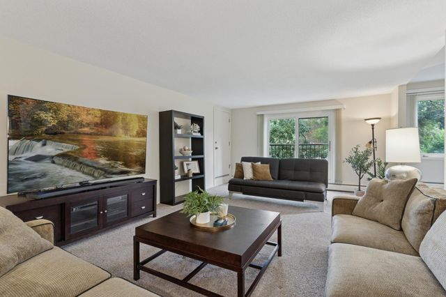 3412 Oak Ridge Road 211, Hopkins, MN 55305