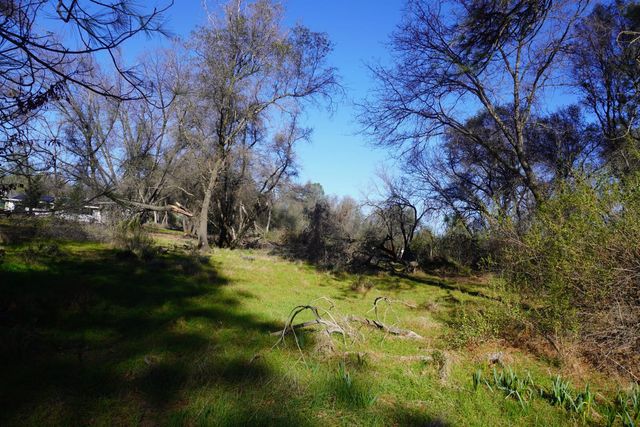 3695 Lily Ln, Shingle Springs, CA 95682