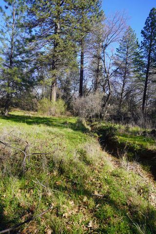 3695 Lily Ln, Shingle Springs, CA 95682