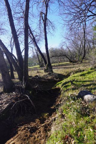 3695 Lily Ln, Shingle Springs, CA 95682